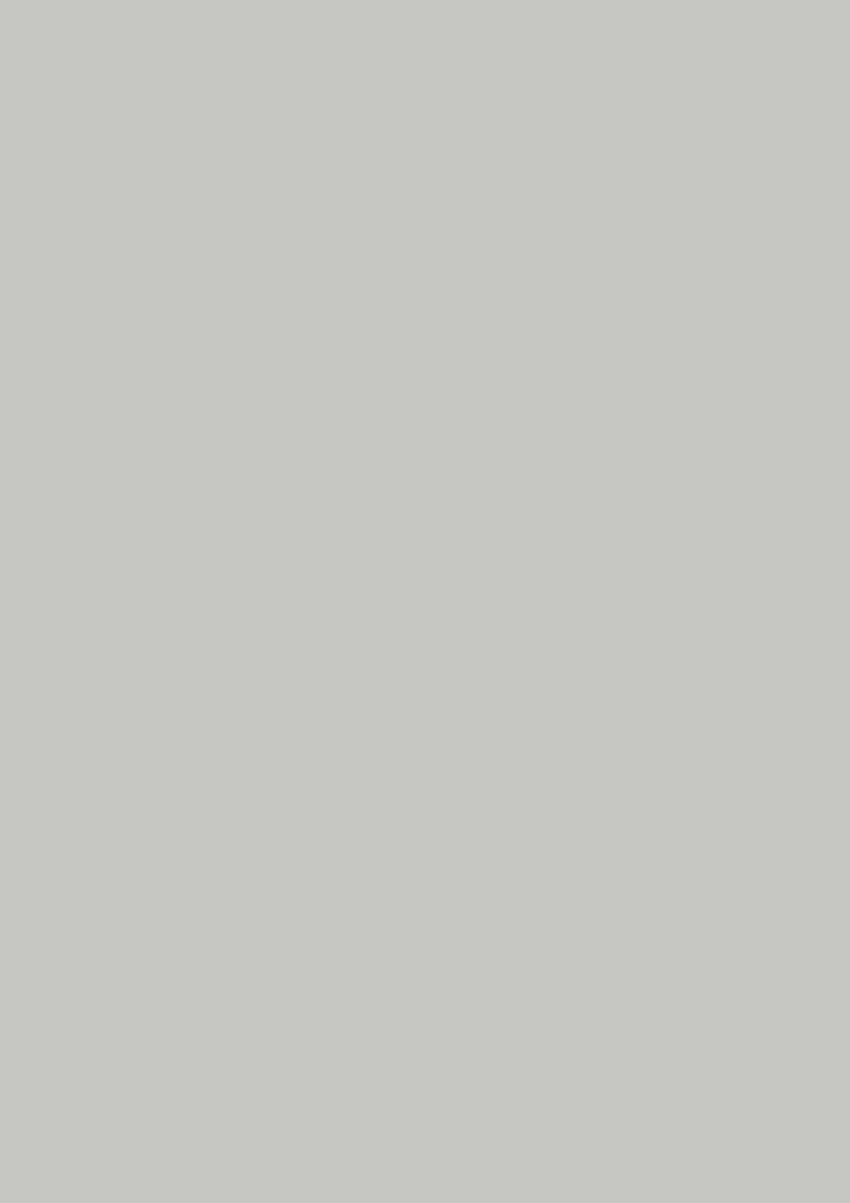 PASTEL GREY 0074 