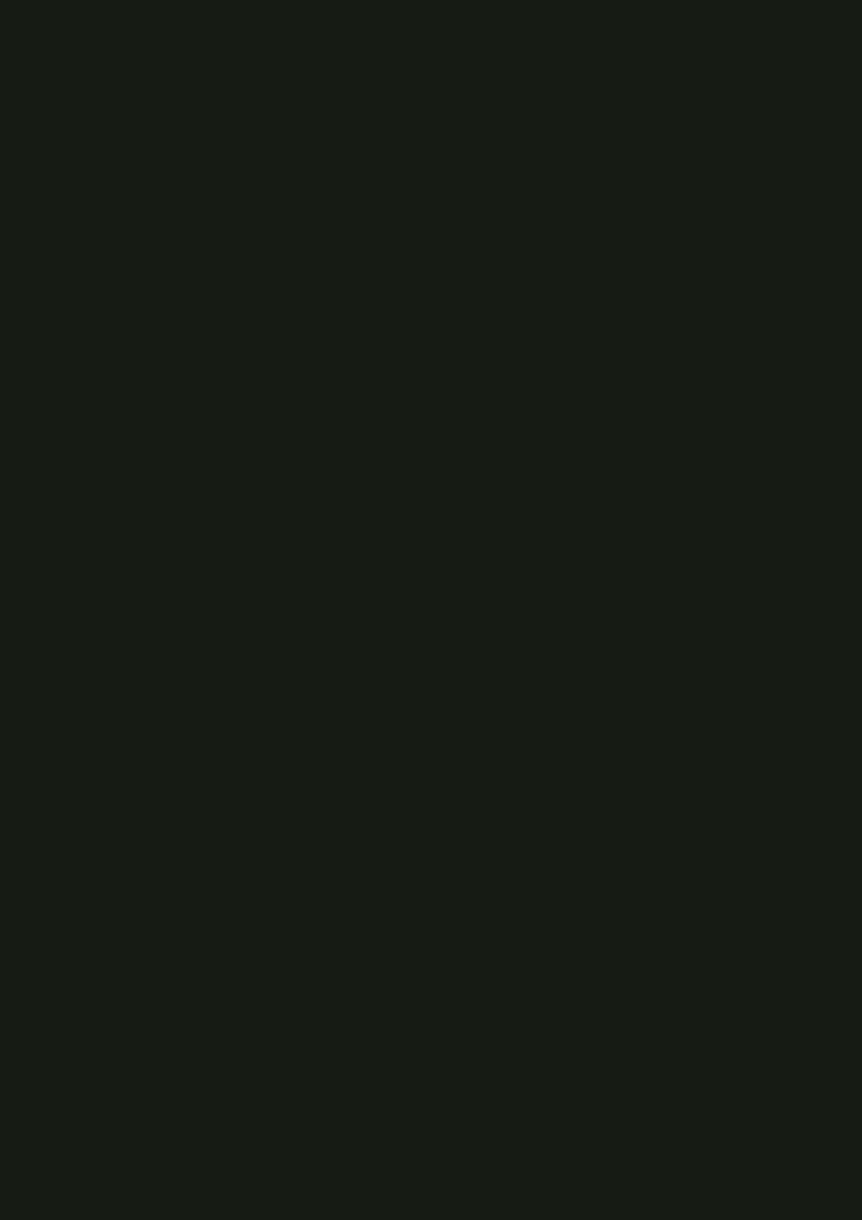 Black 0080 