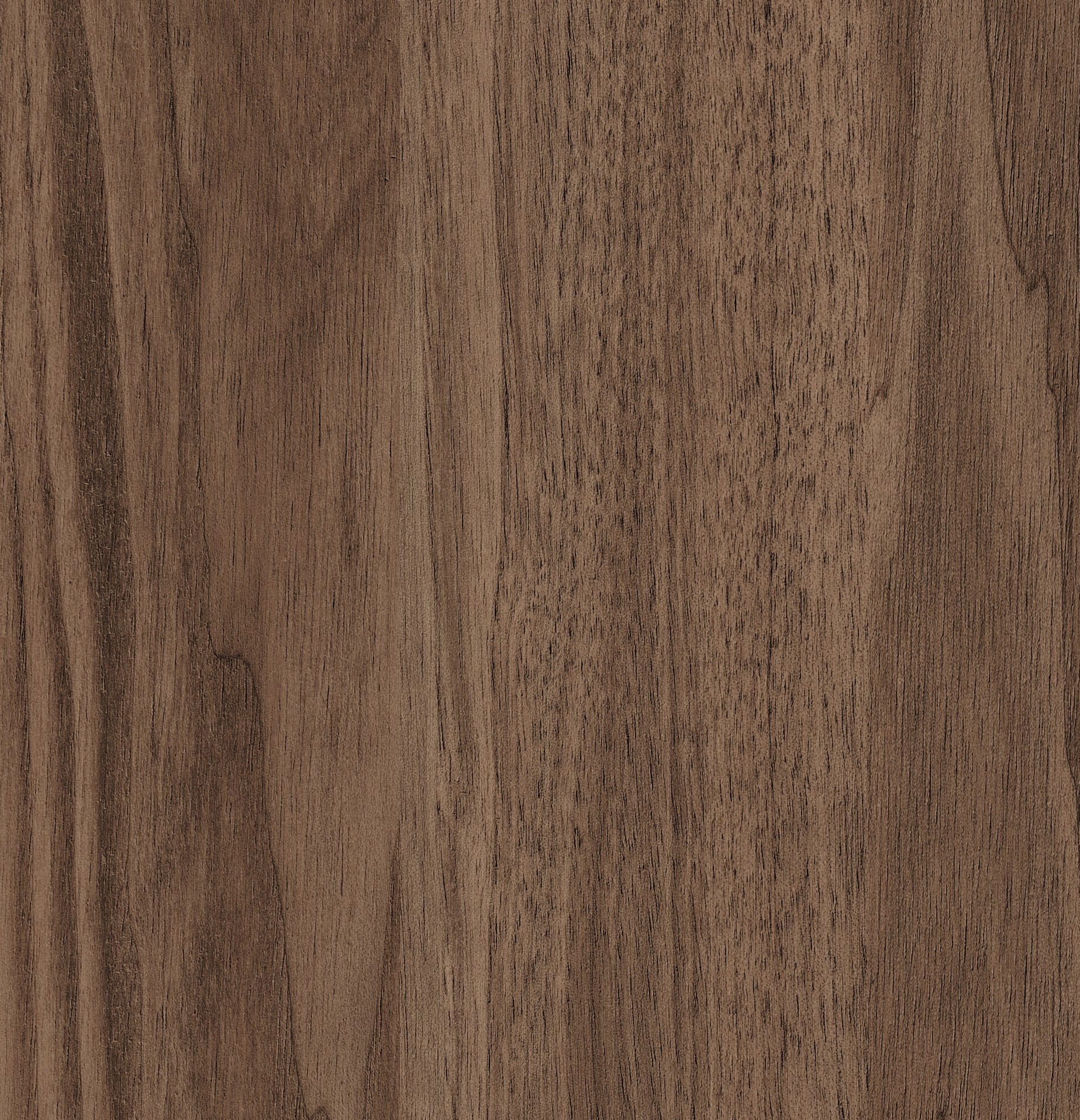 AREZZO WALNUT 0260