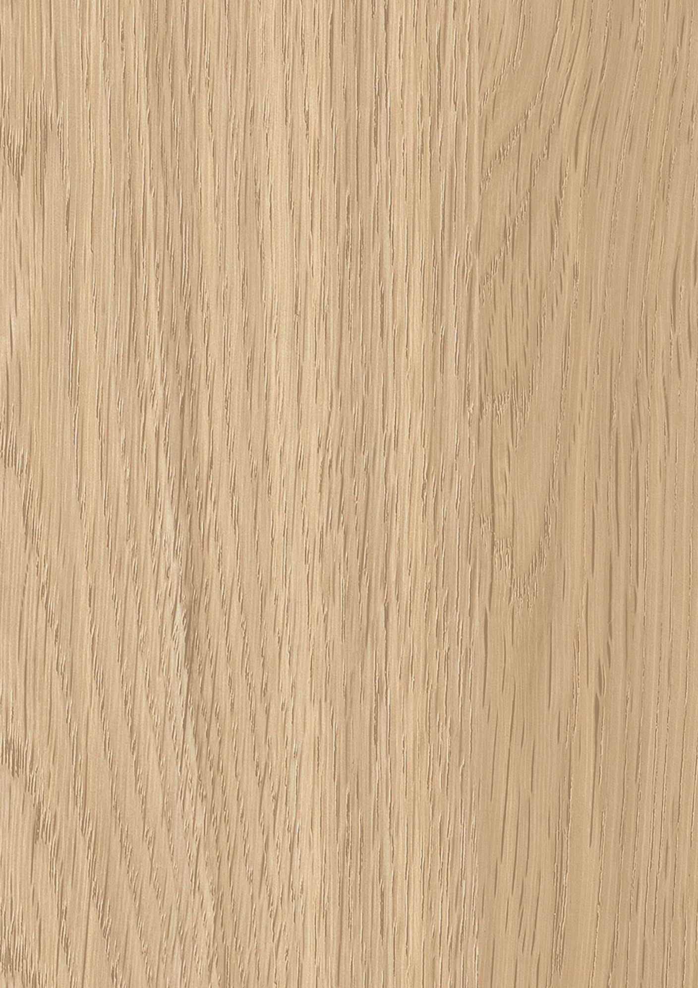 AKARI OAK 0290