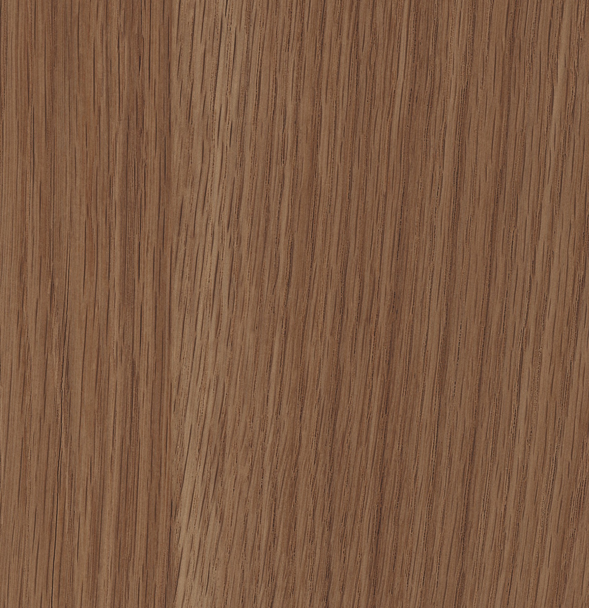 FORTUNA OAK 0331