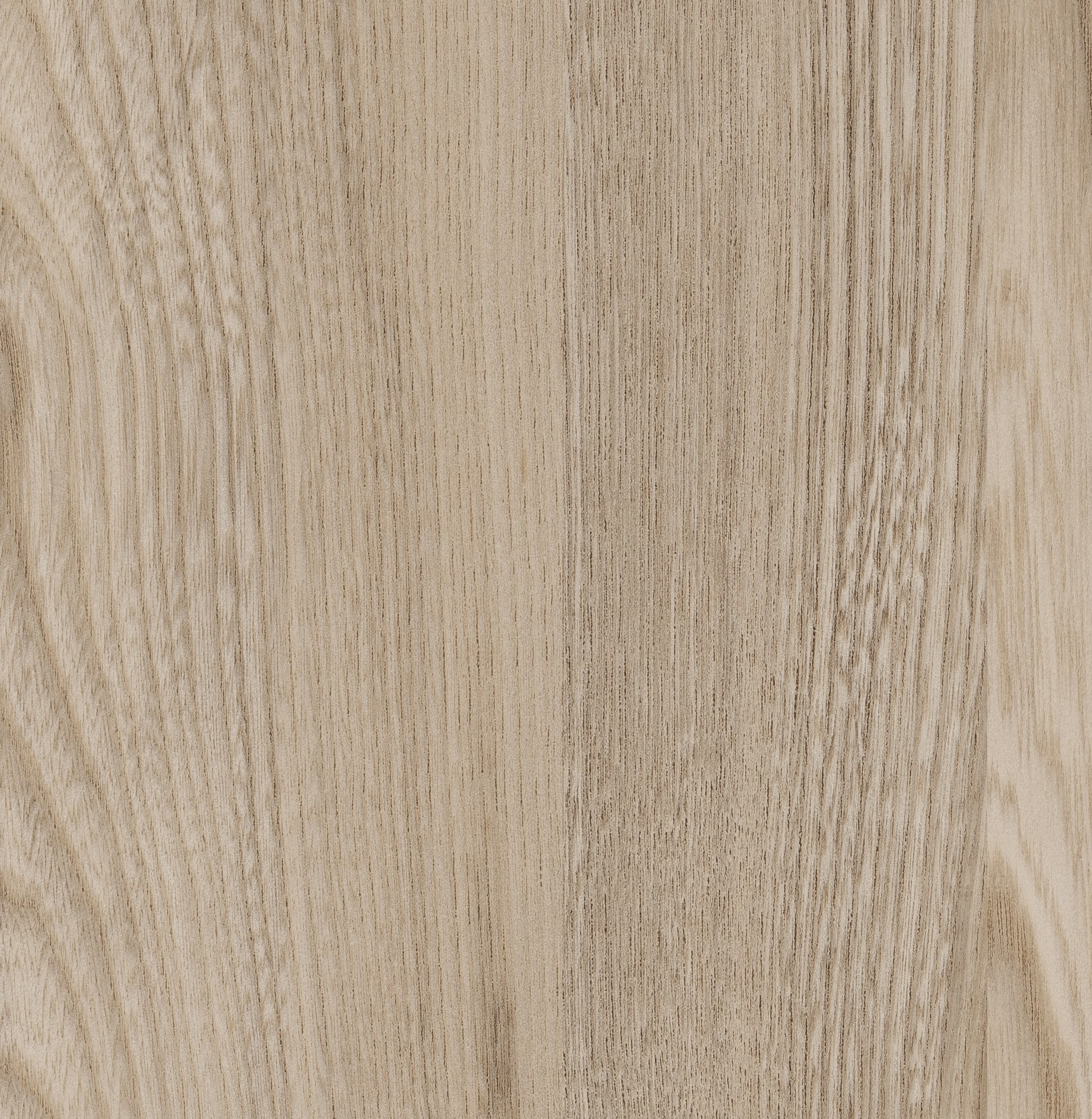 SERENISSIMA ASH 0361