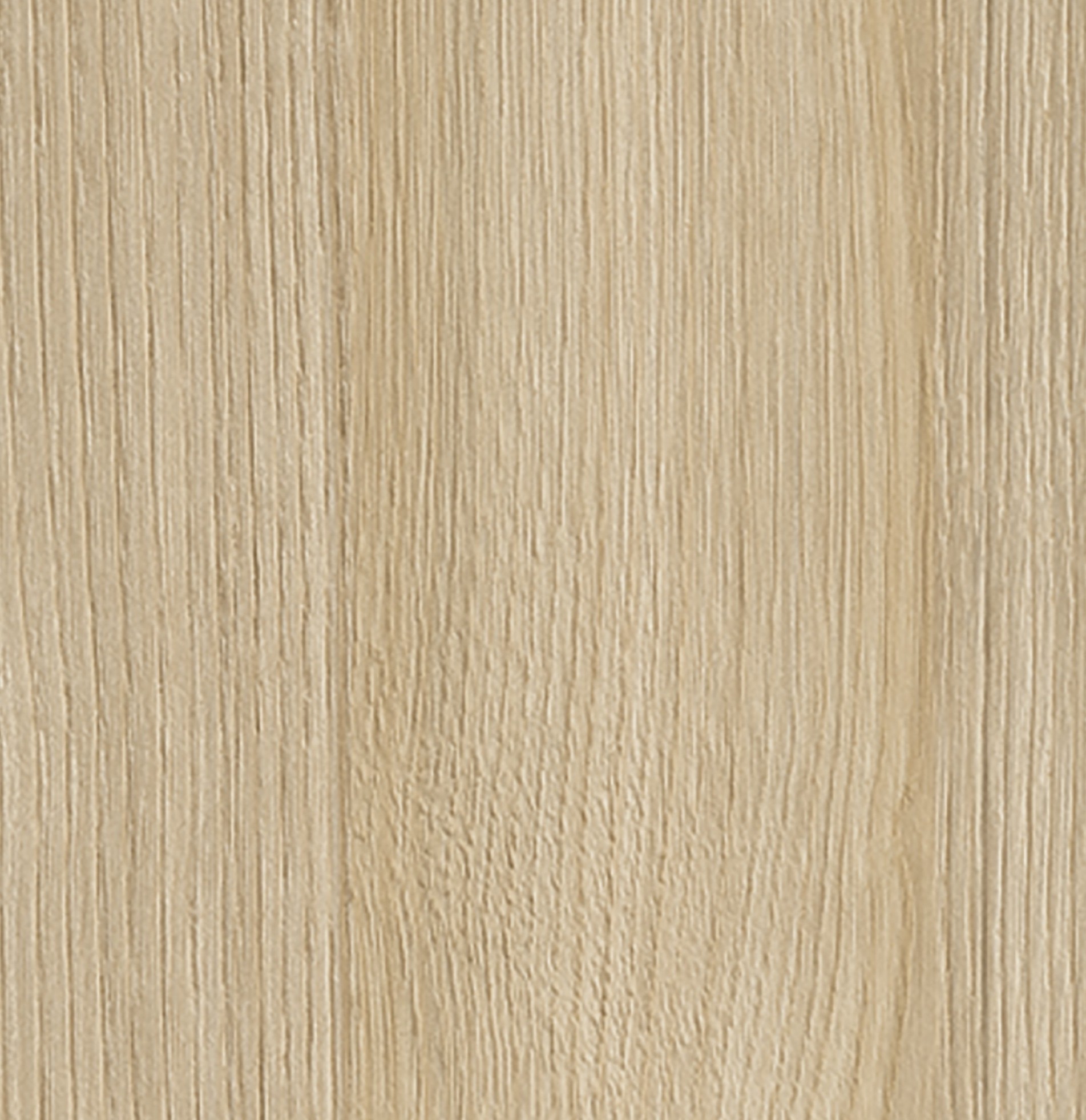 CAVALLI CHESTNUT 0637