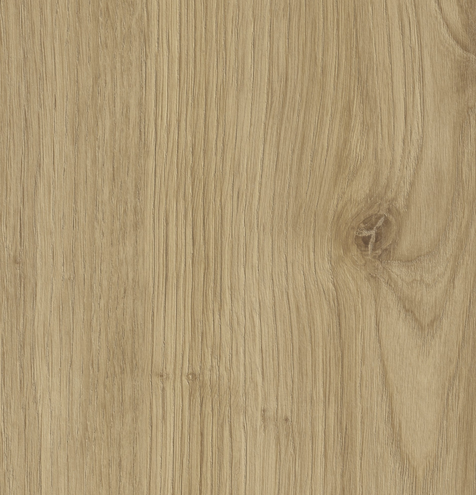 RAMOS OAK 0638