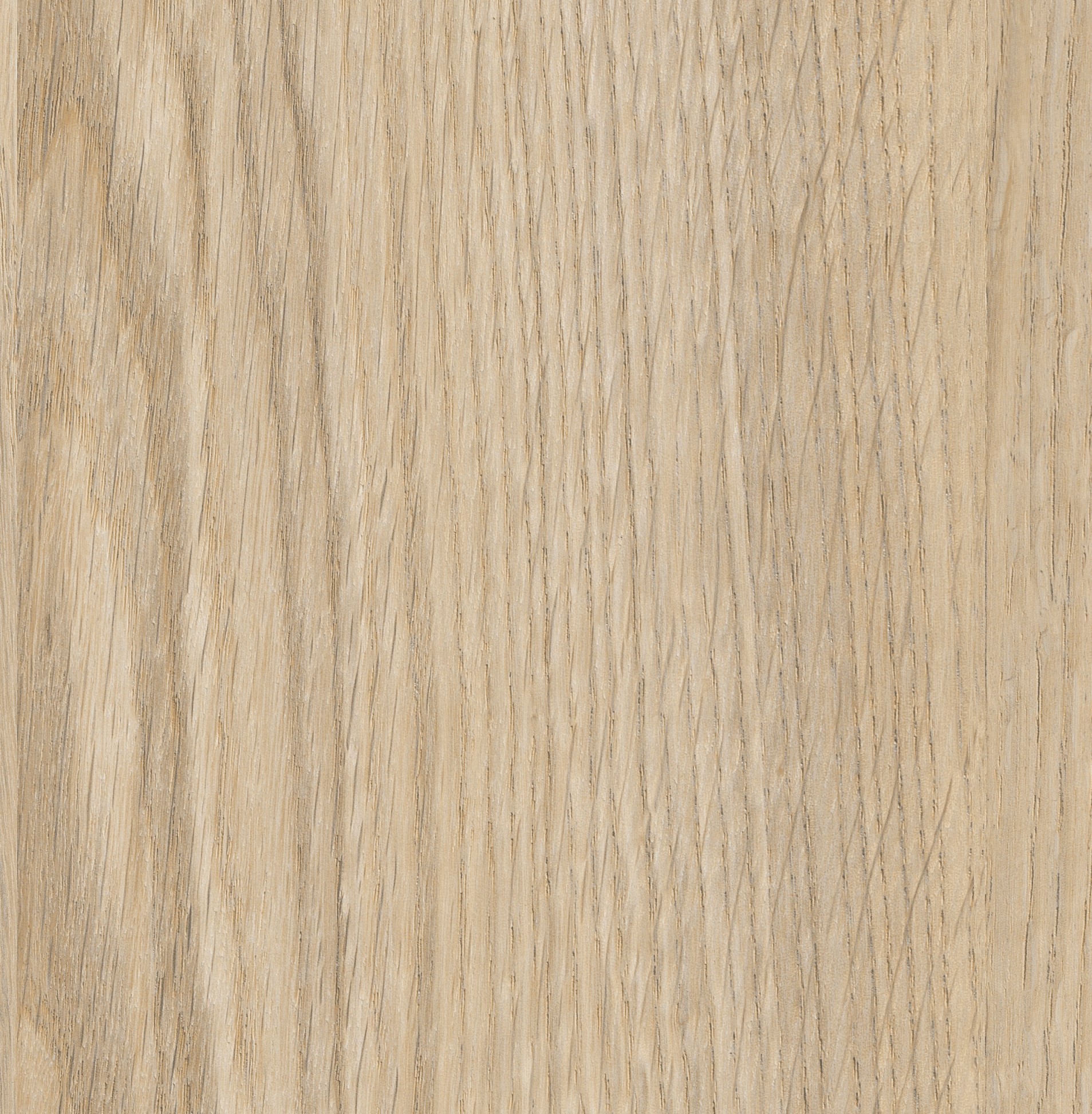 SYMPHONY OAK 0831