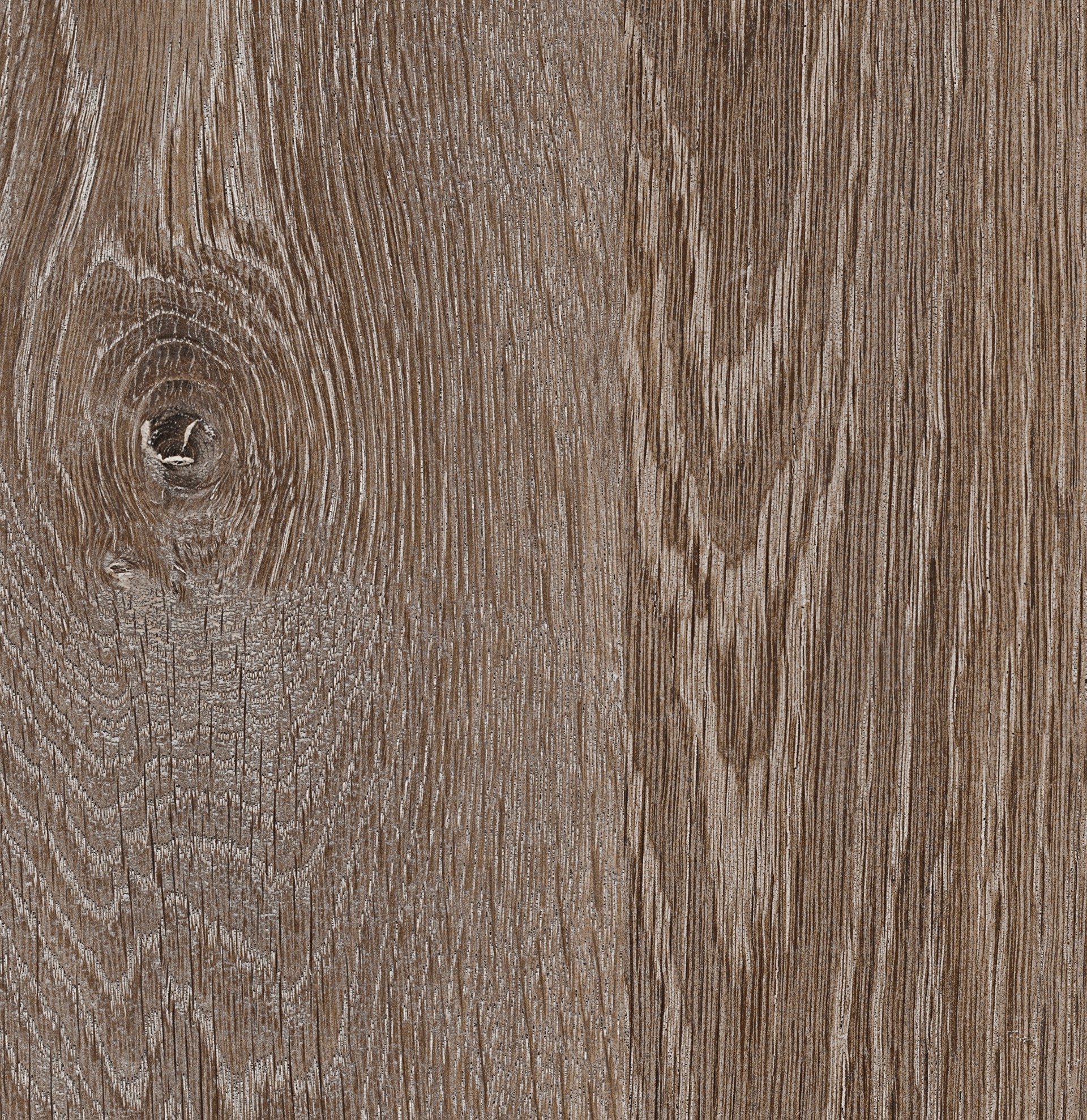 TRUFFLE COTTAGE OAK 0940