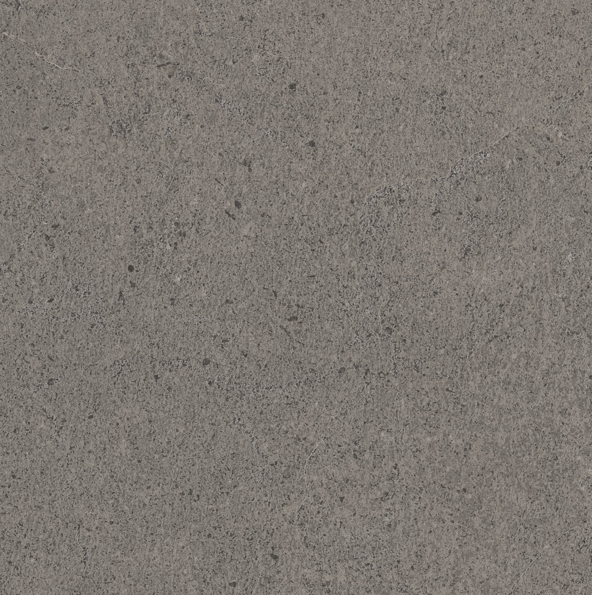TRUFFLE ANDROMEDA STONE 0986 