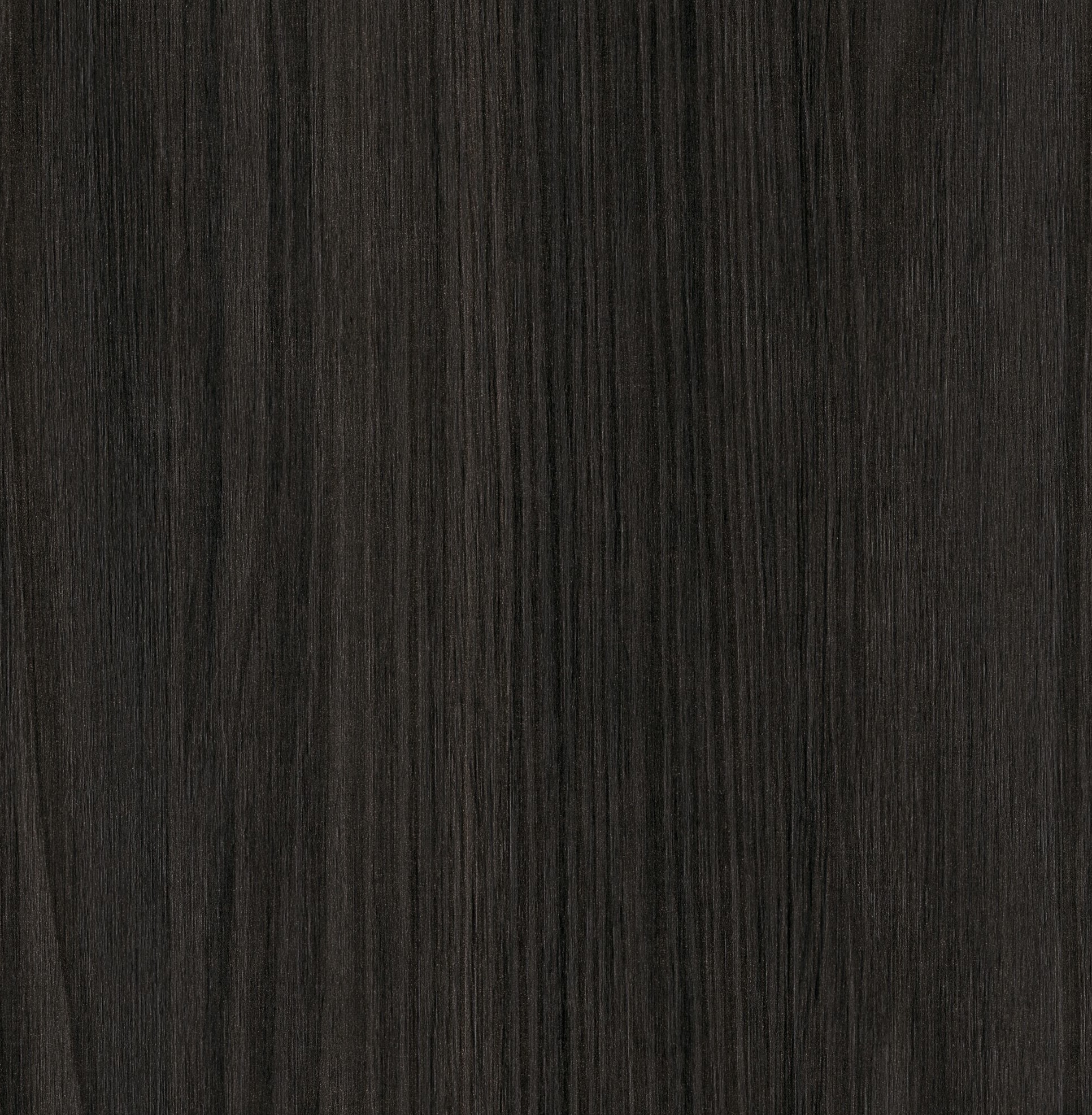 DARK EUCALYPTUS 4029