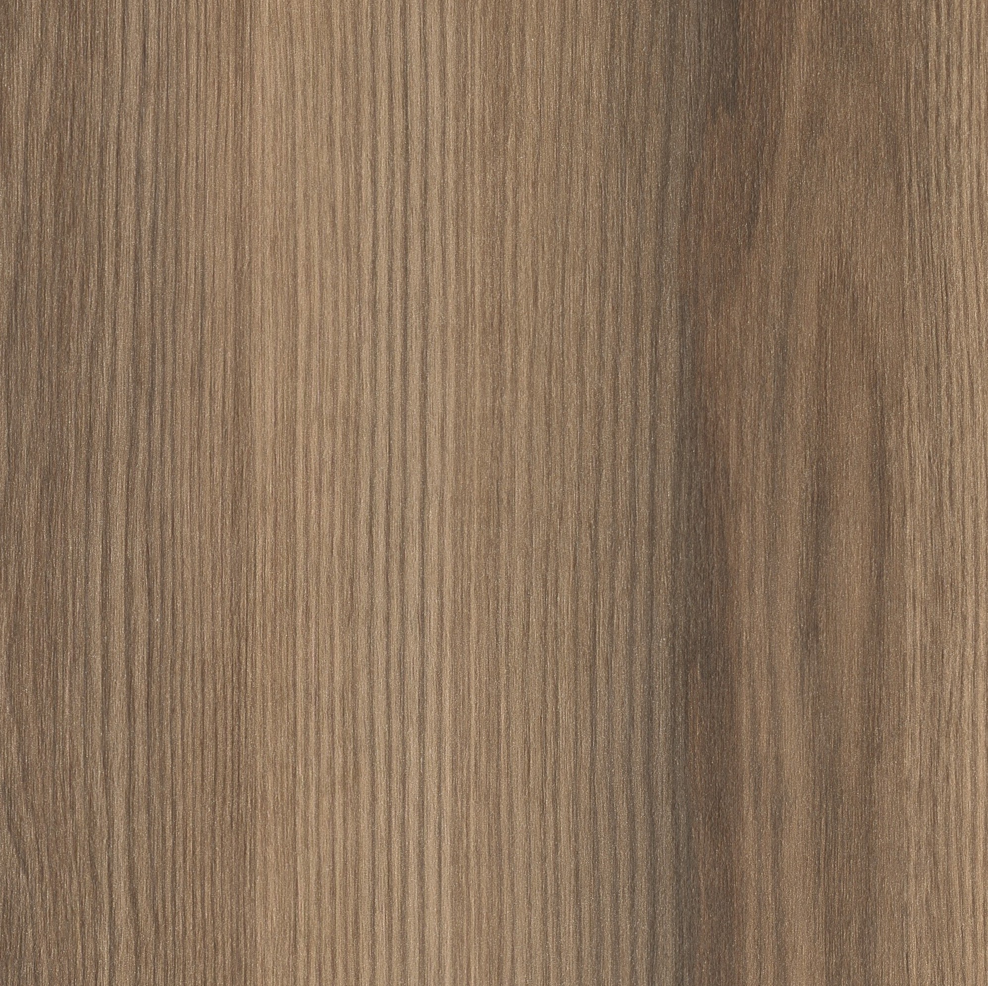 JAZZ OAK 4038