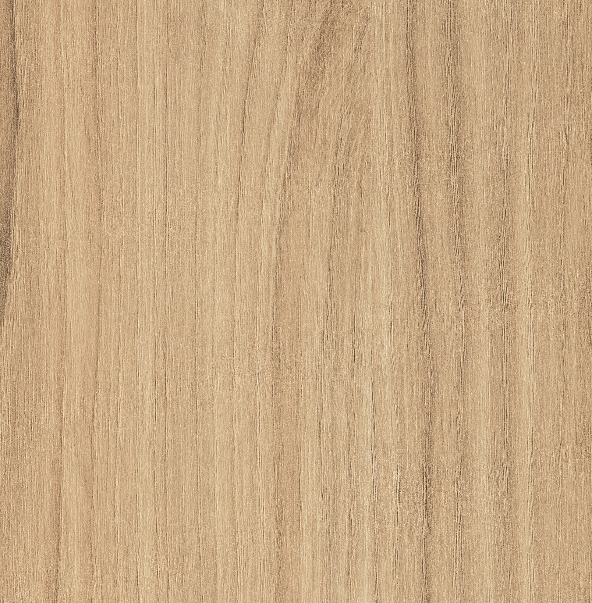 VIRGINIA OAK 4047