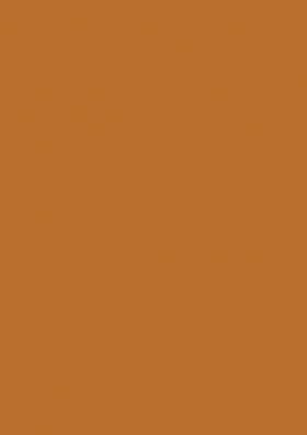 CINNAMON BROWN L041 (5032)