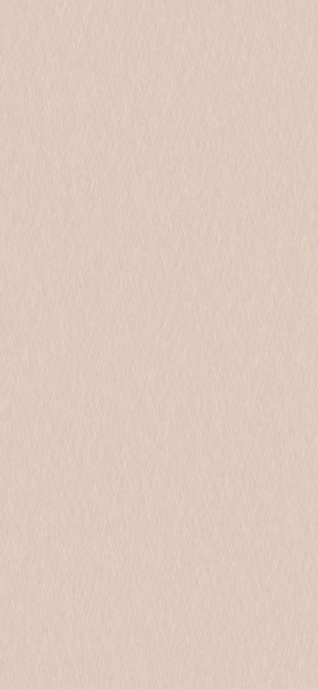 METALINES F2318 