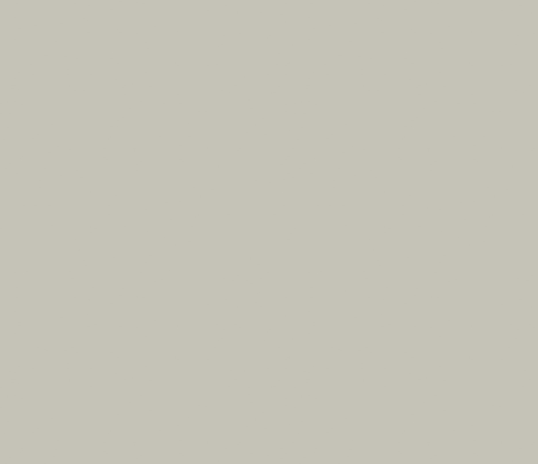 LIGHT GREY L166 