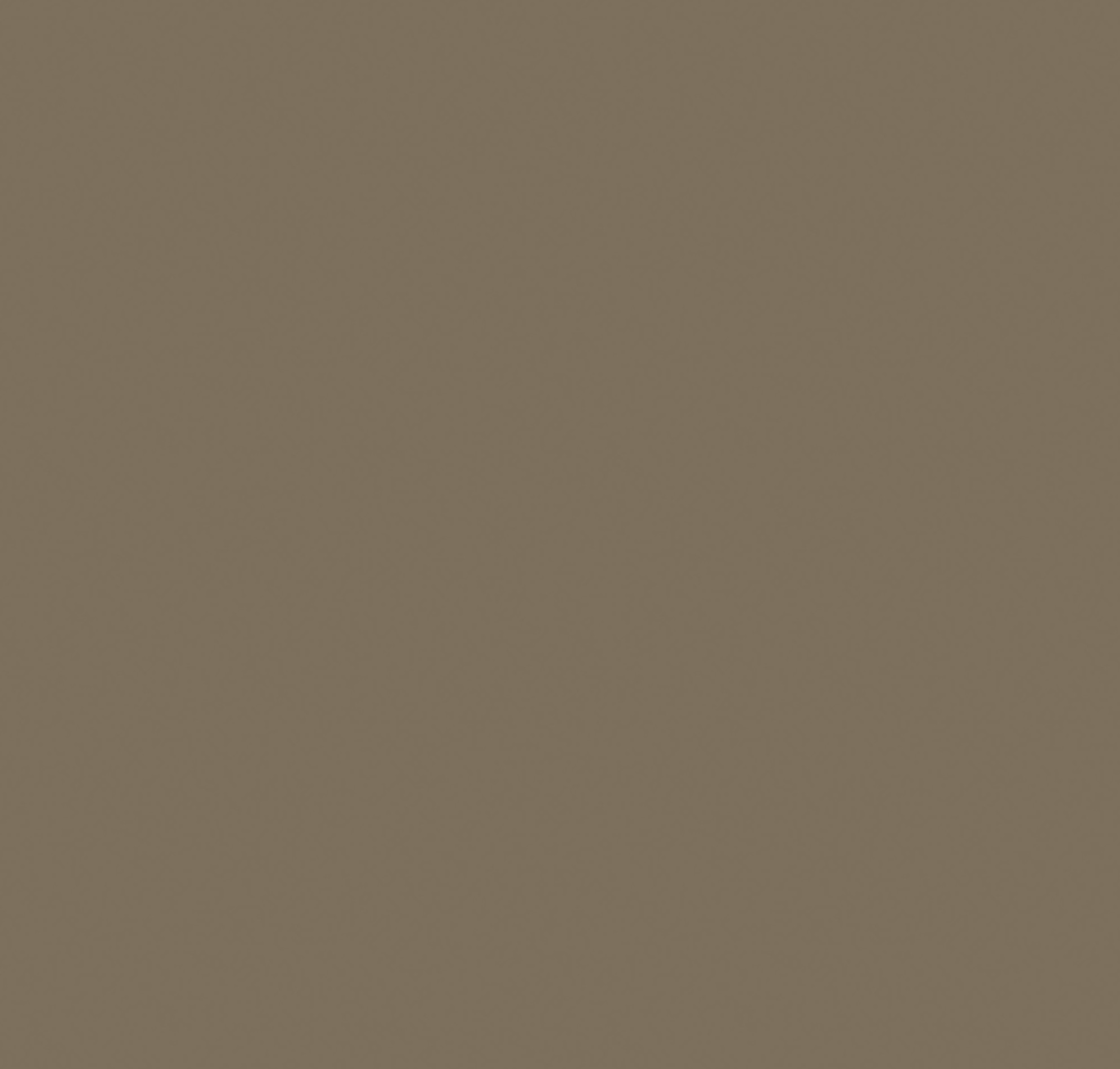 TAUPE L2201 