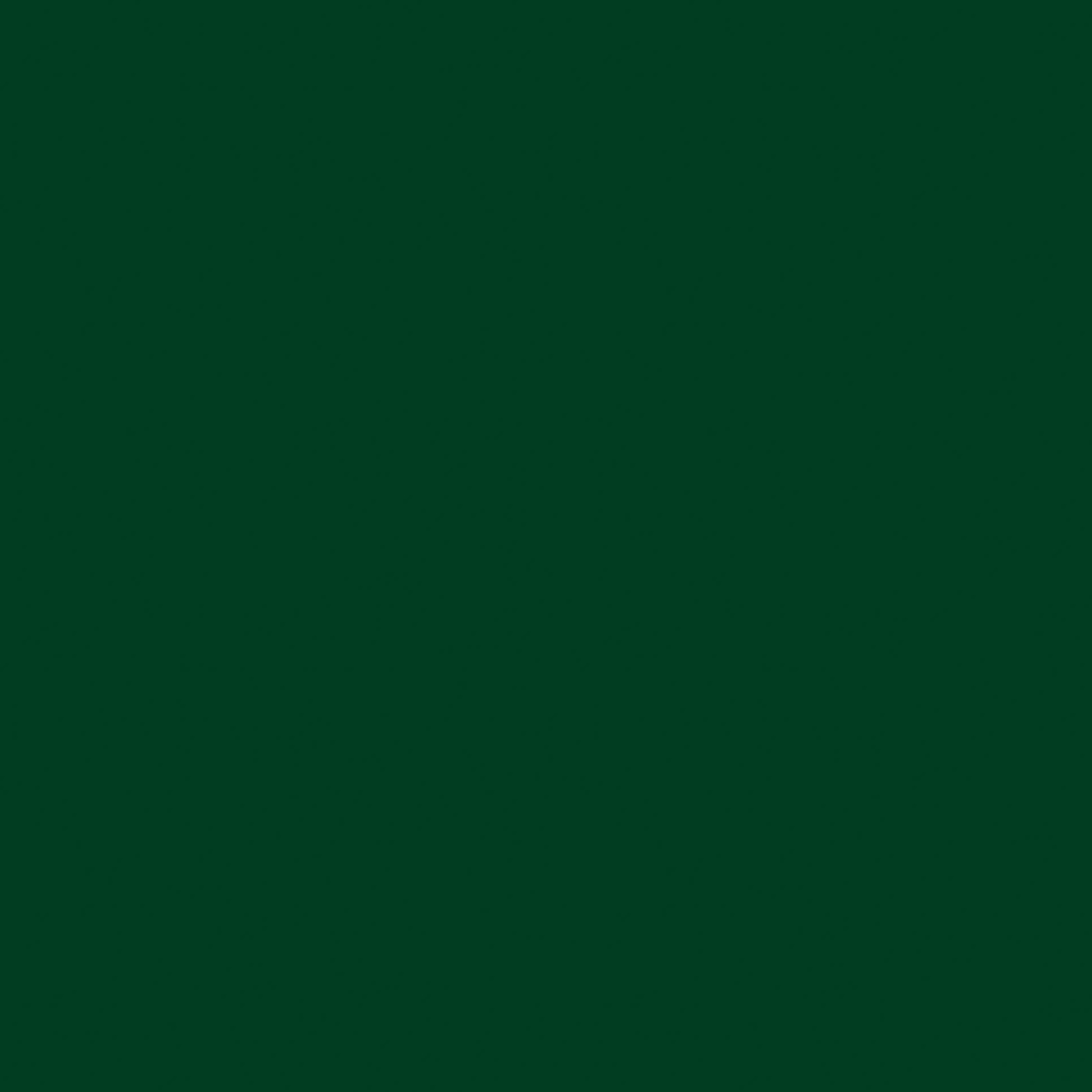 EDEN L5231 