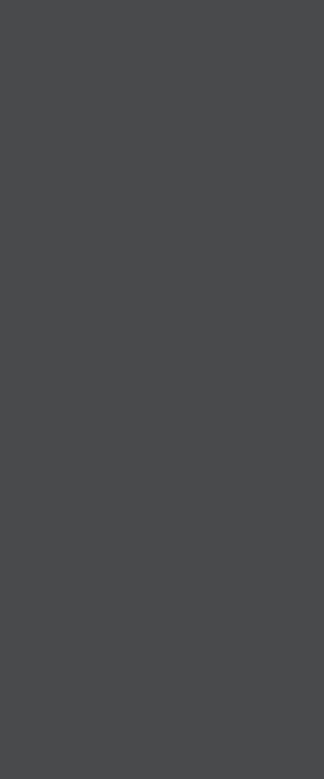 SLATE GREY L6287 