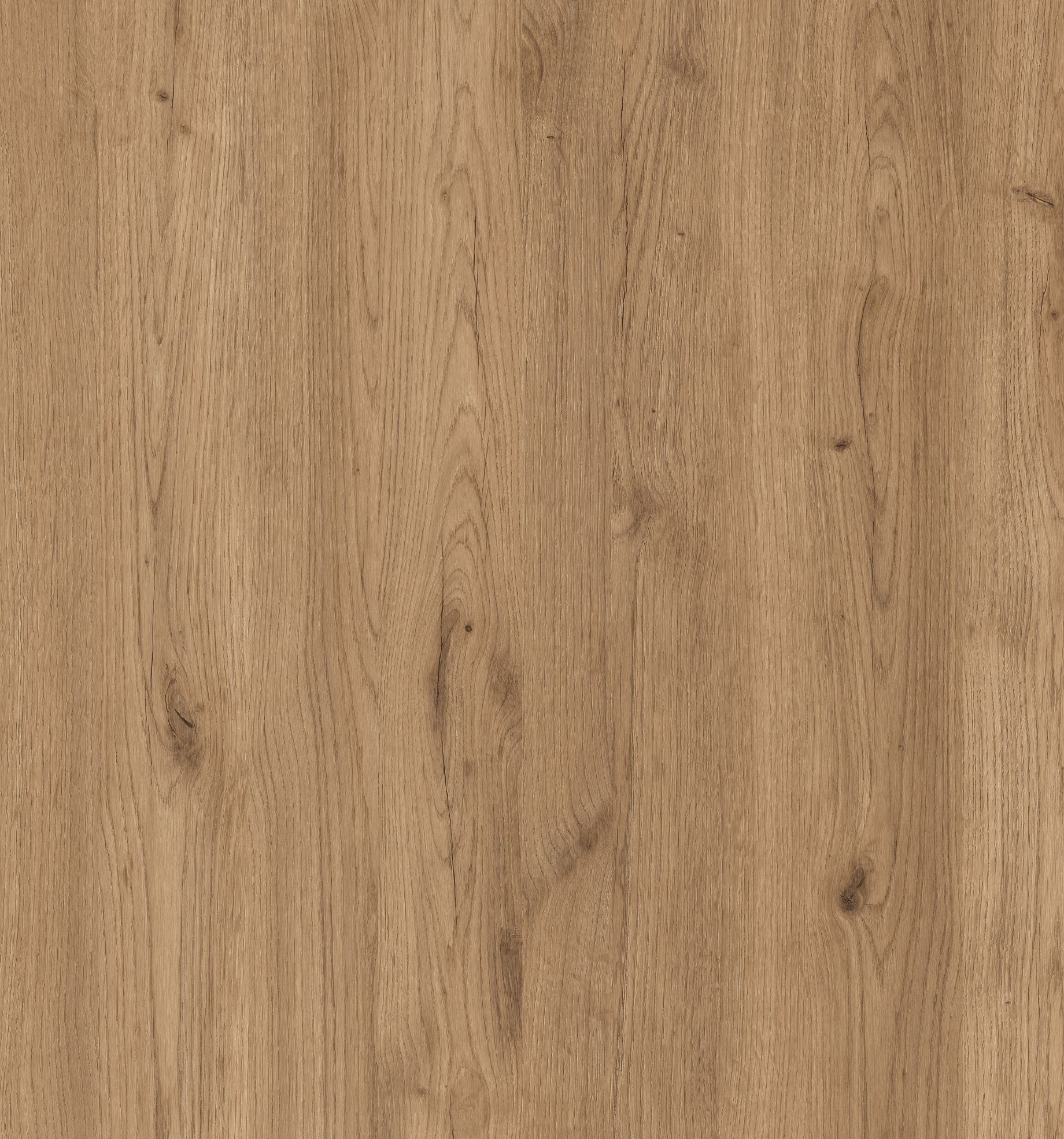 Salerno Oak Golden M6263