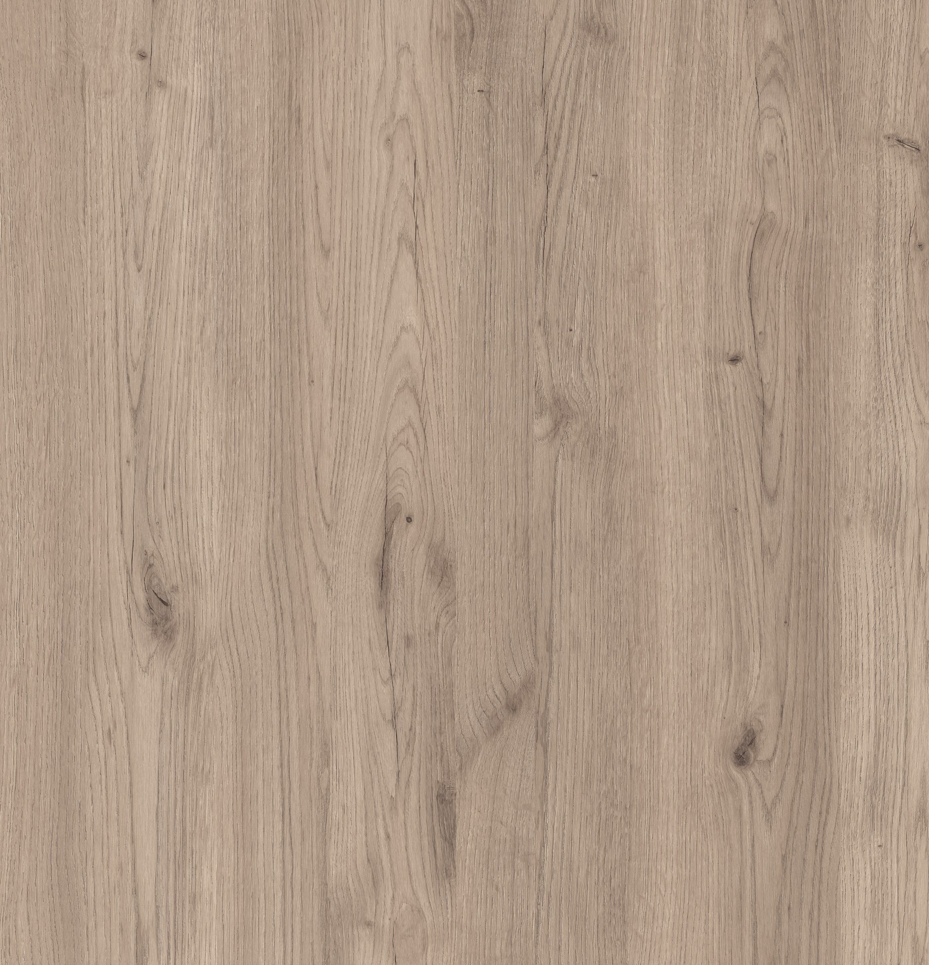 Salerno Oak Pale M6264