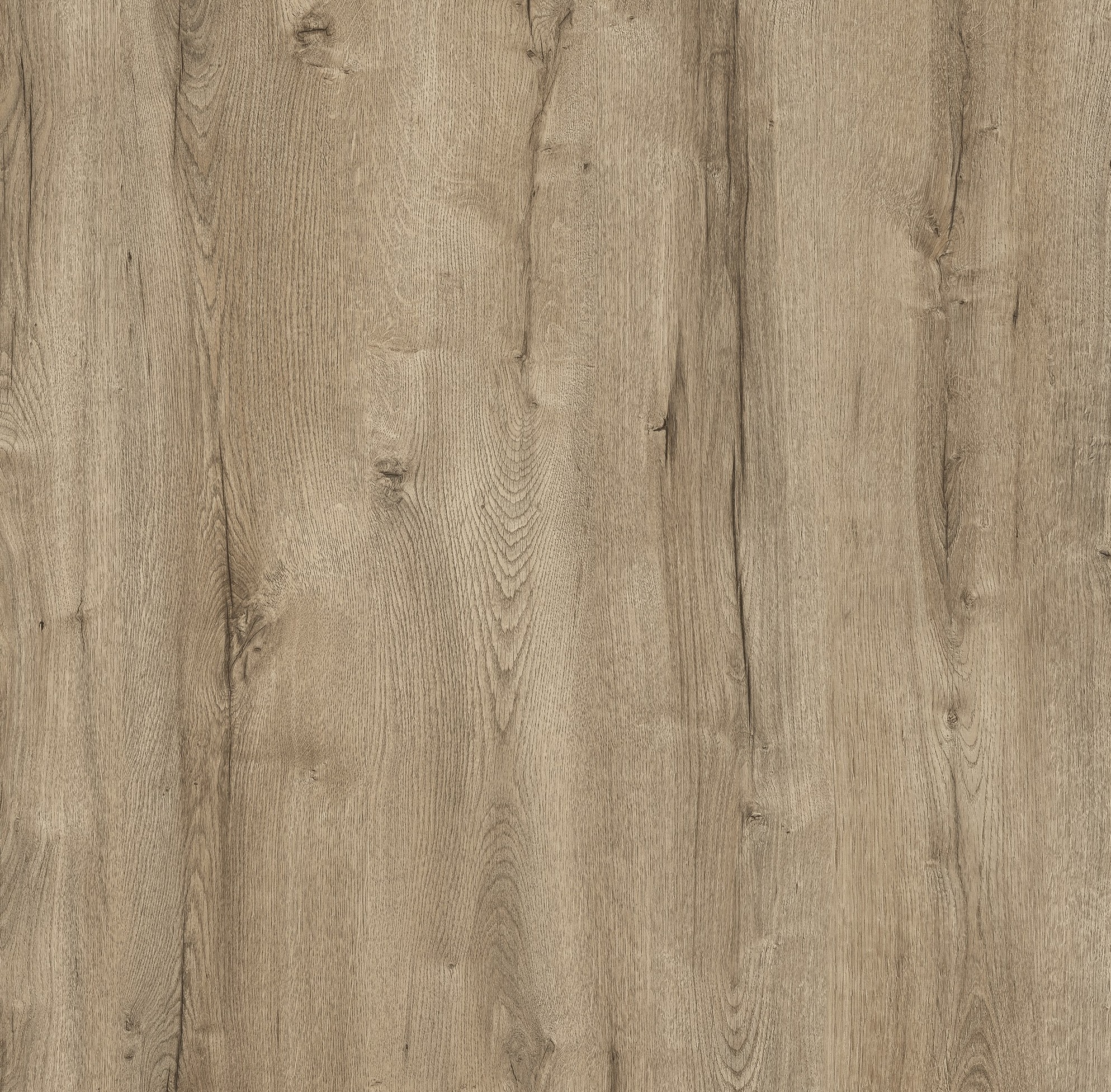 Sanctuary Oak M6280