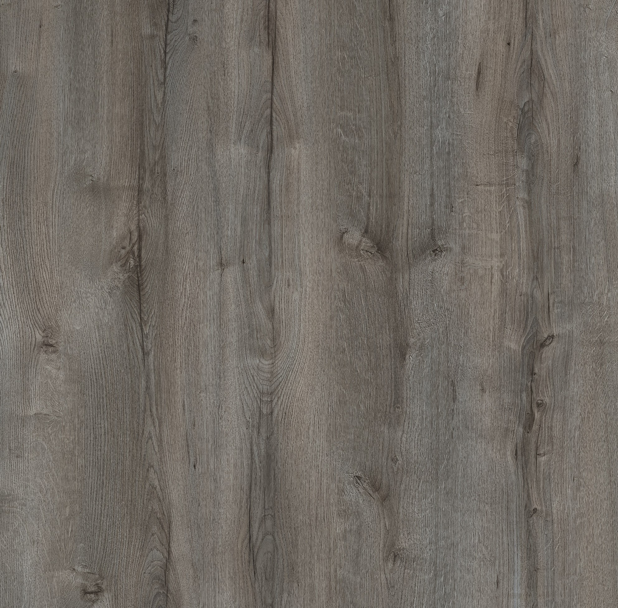 Sanctuary Oak Dark M6281