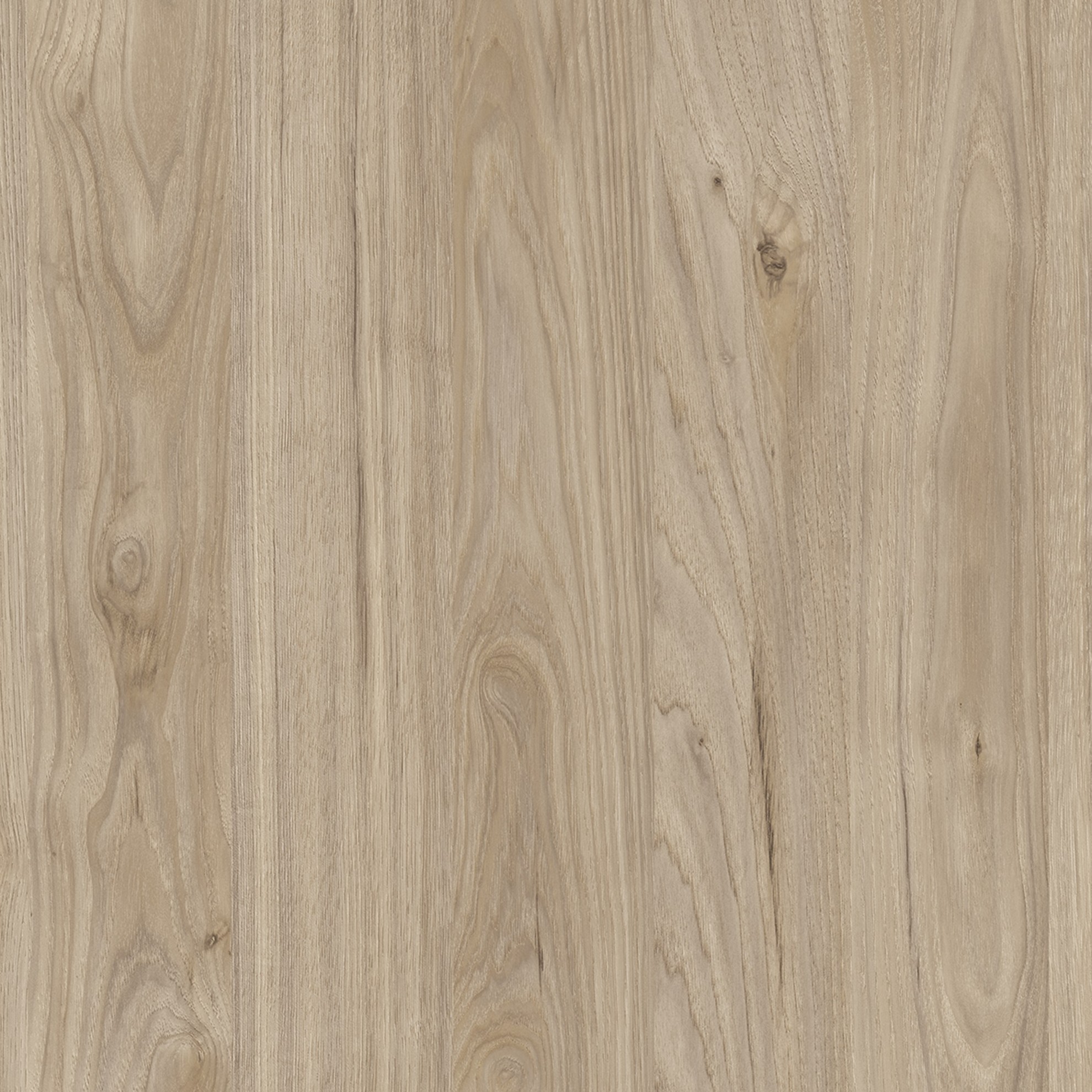 Cosmopolitan #1 M6282