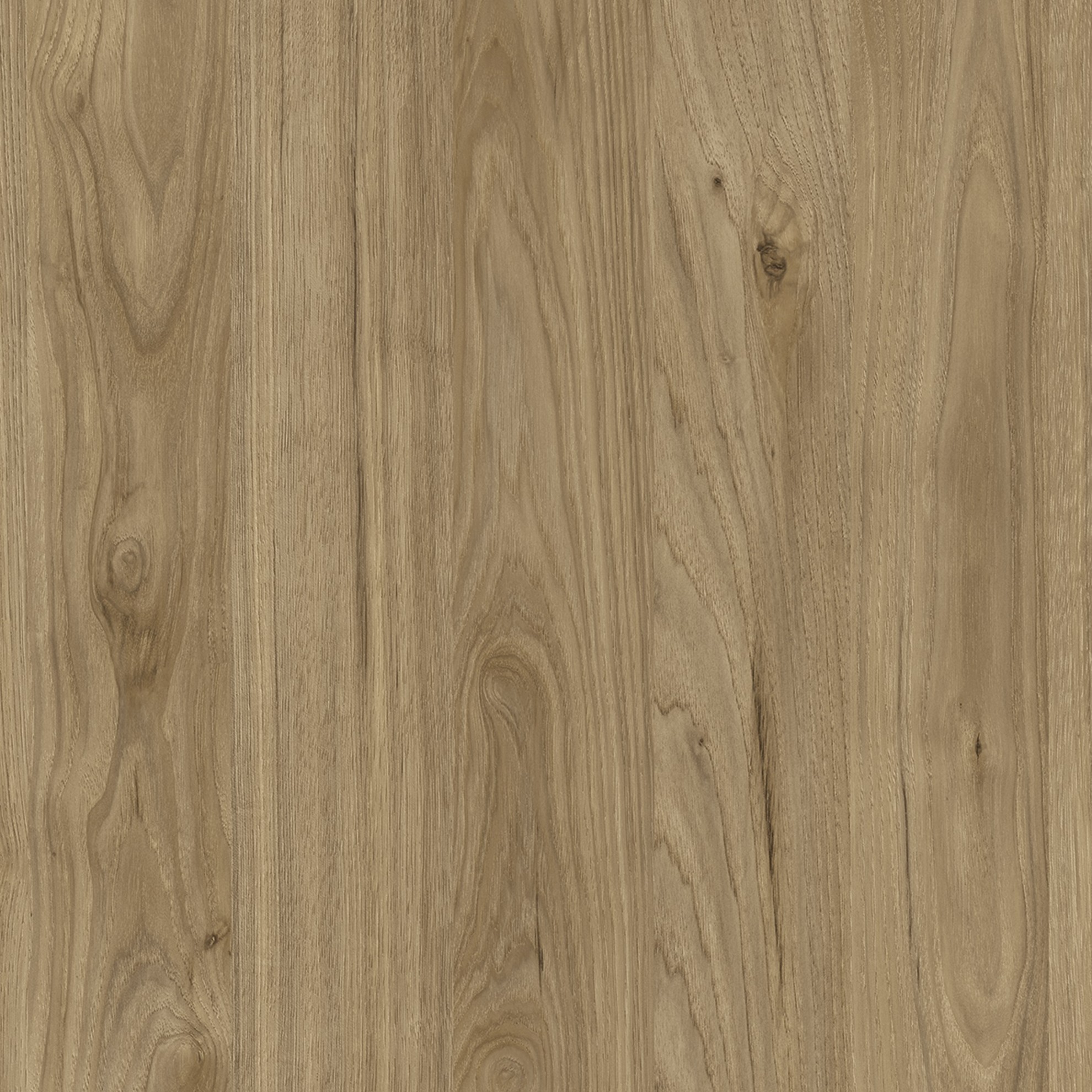 Cosmopolitan #2 M6283