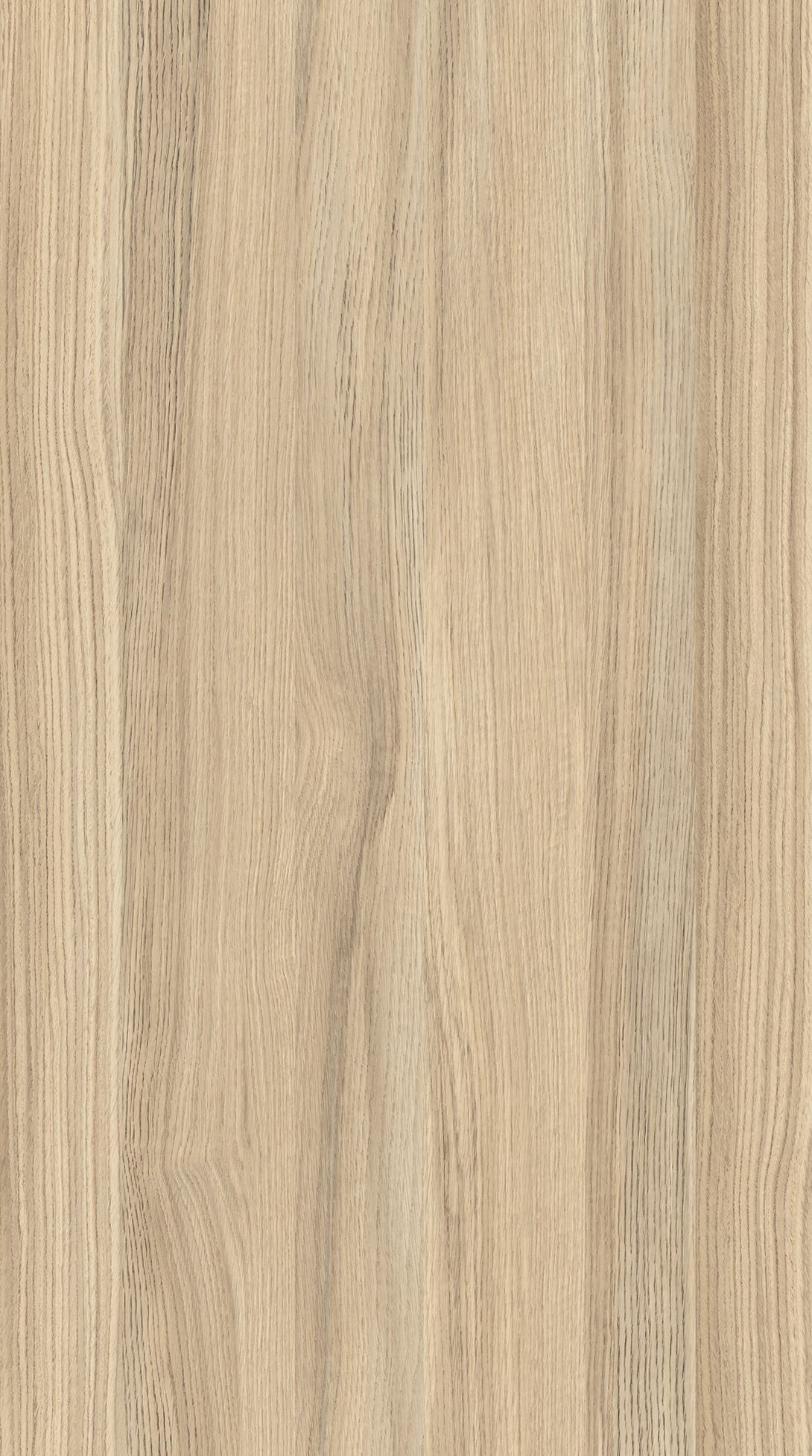 Timeless Oak Biscuit M6284