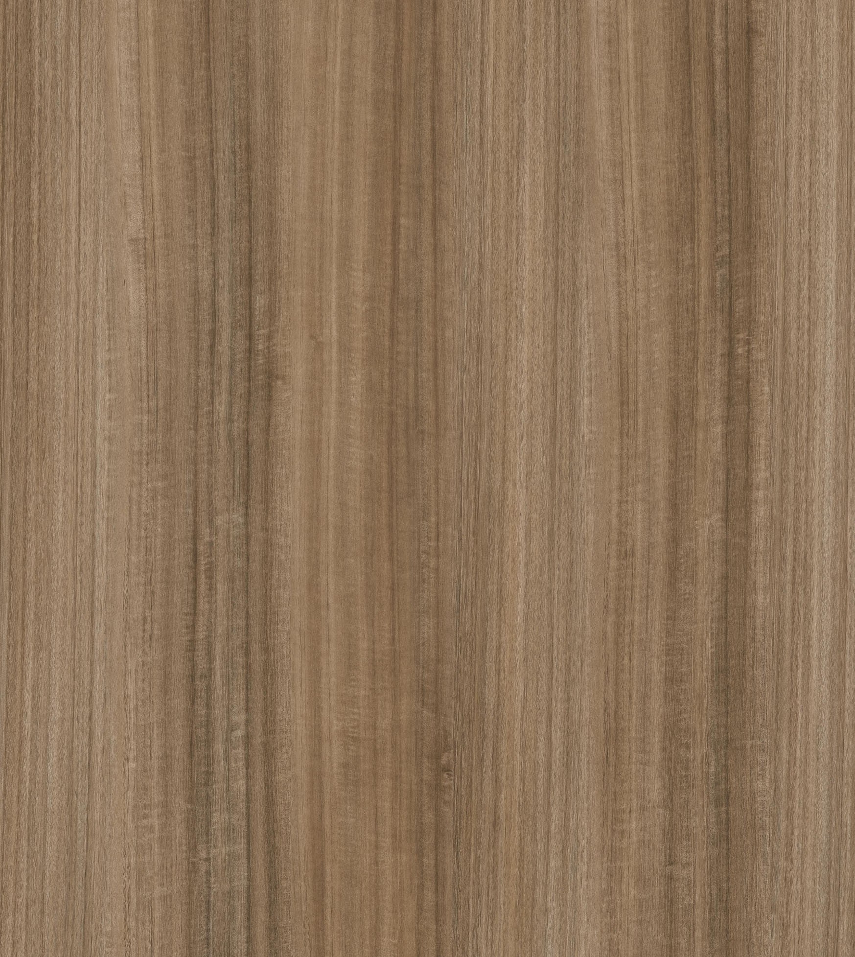 Ethnic Sand M6299