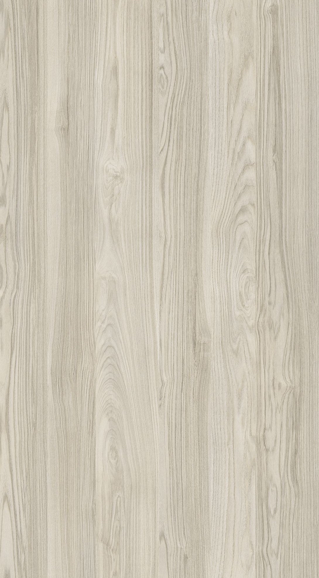 Spiny Elm White M6303