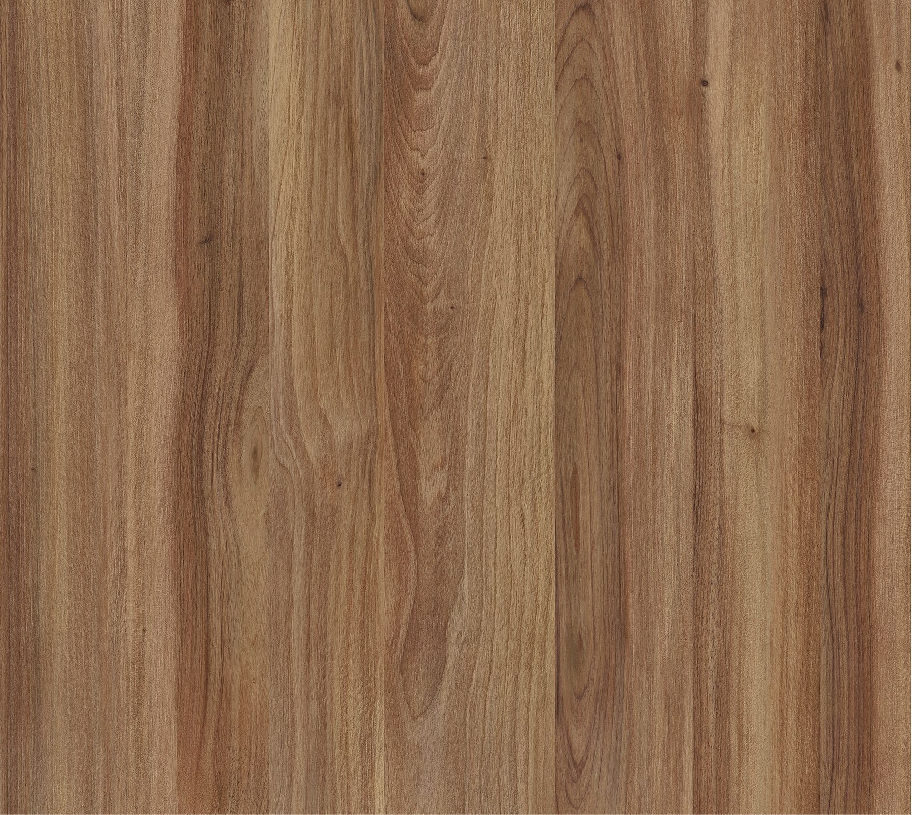Exquisite M6312