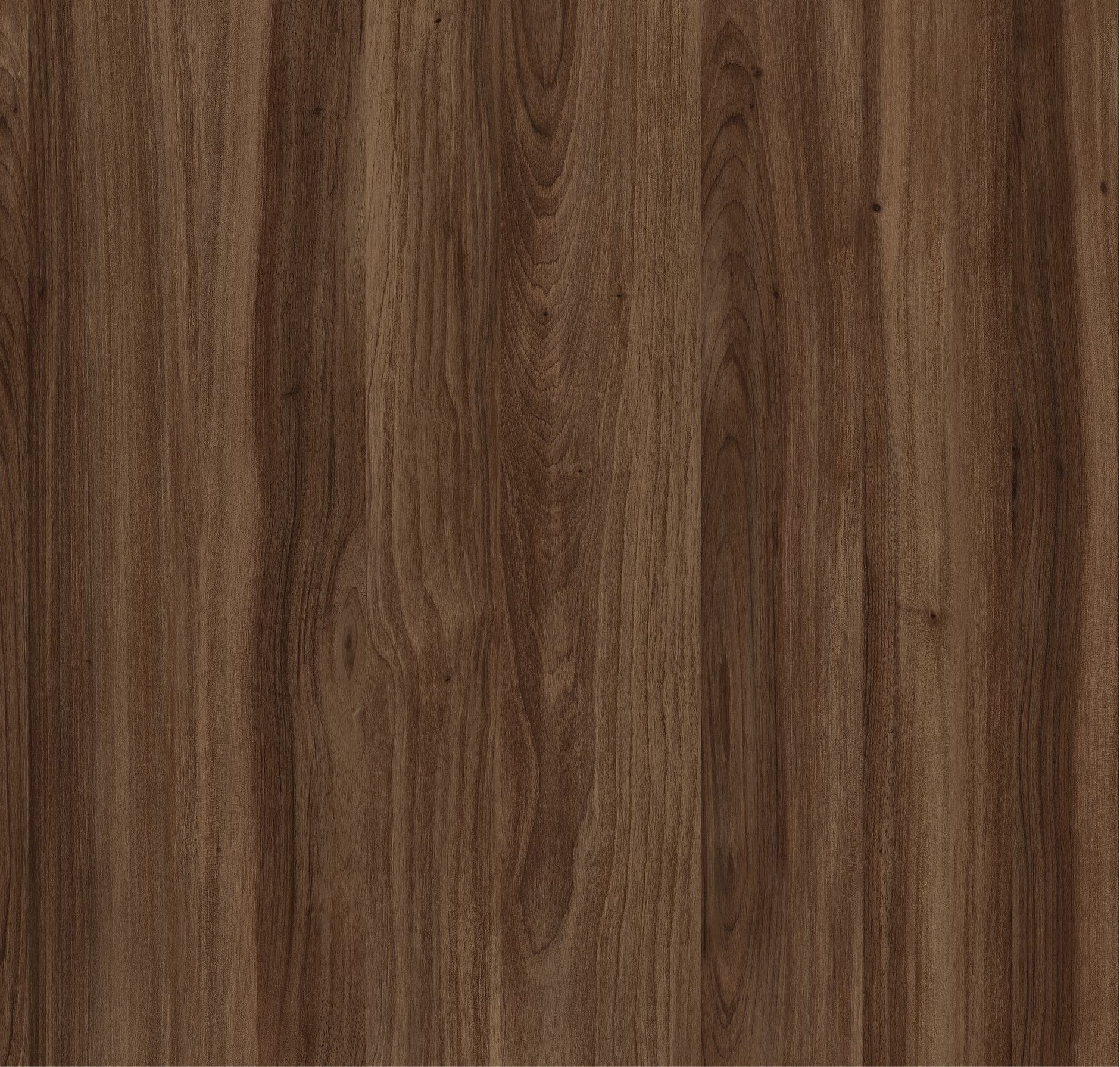 Exquisite Dark M6313