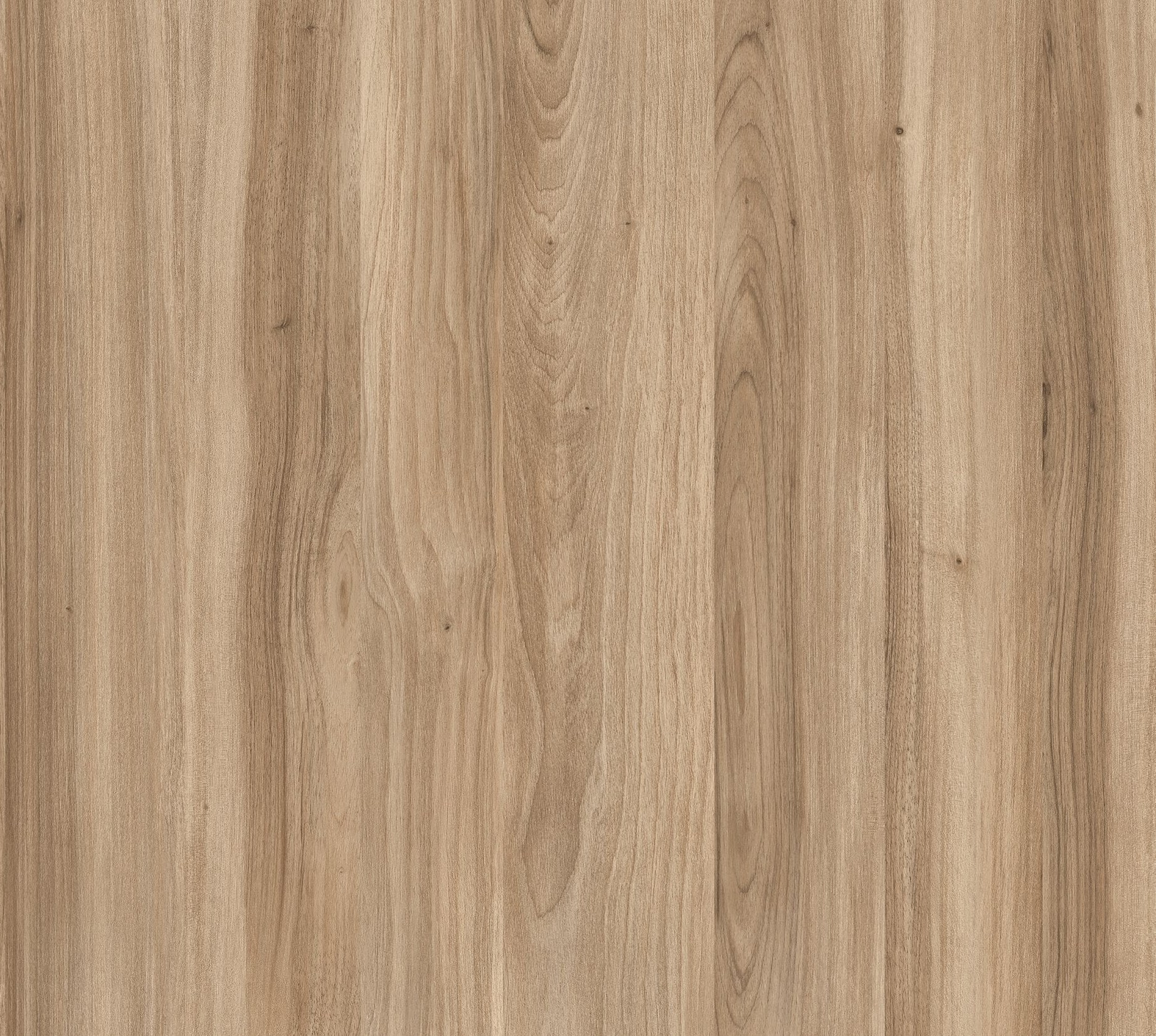 Exquisite Light M6314