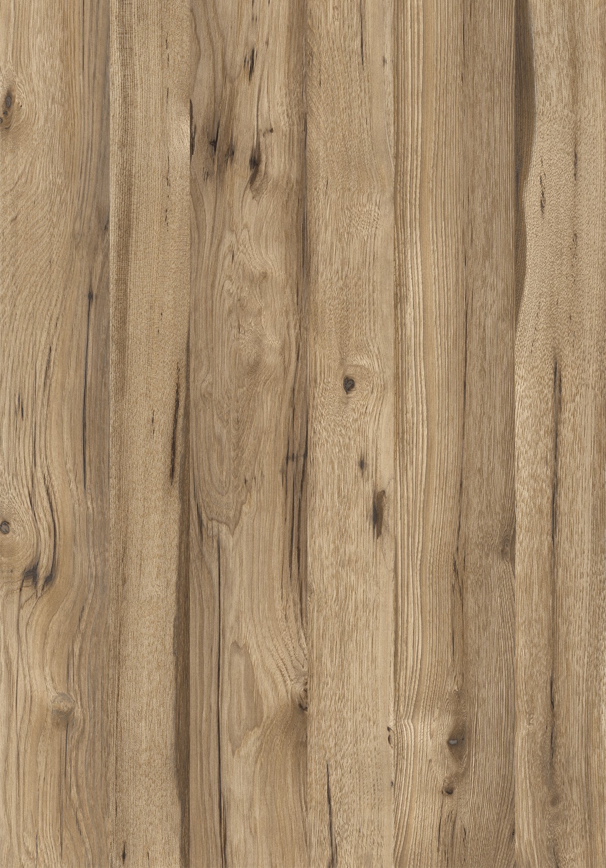 Kingdom Oak M6325