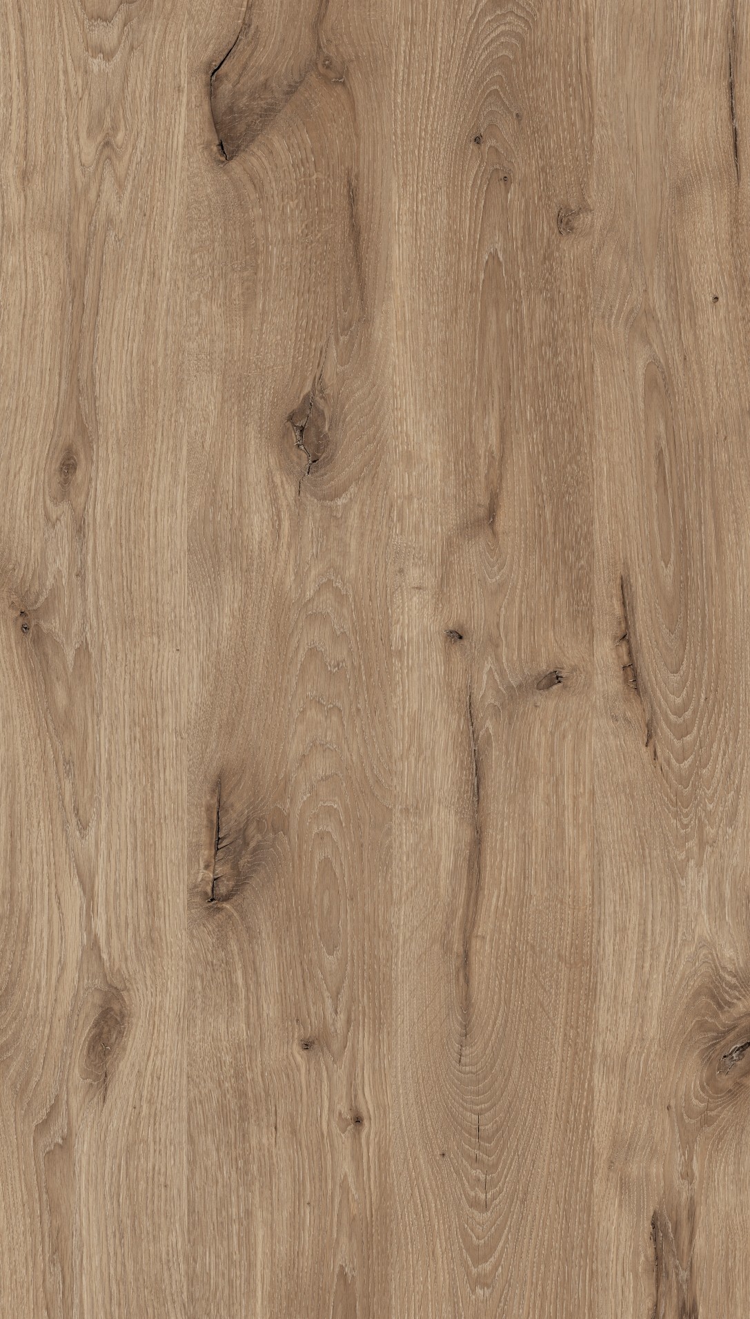 Medieval Oak M6345
