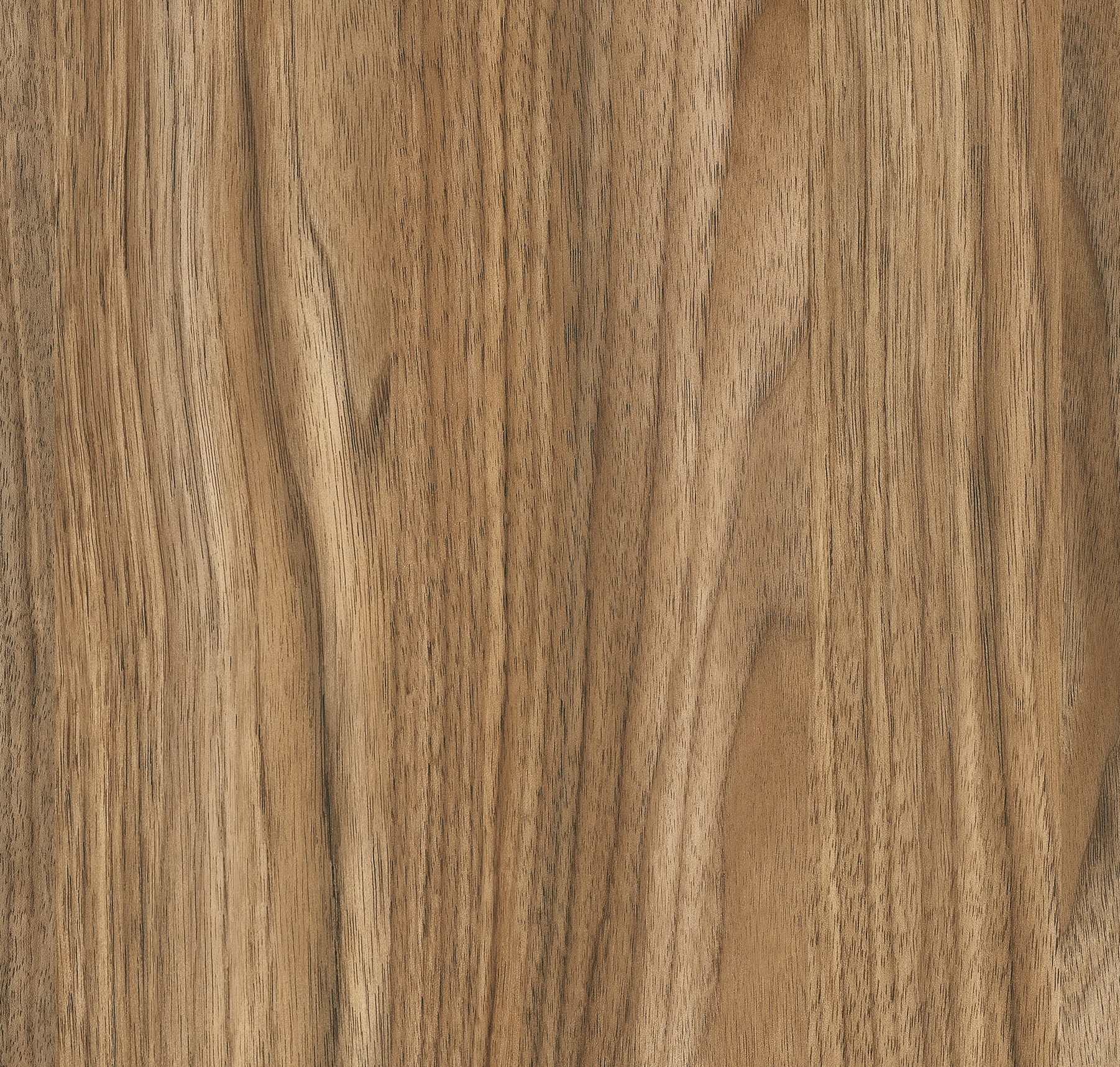 Mystic Wood M9334